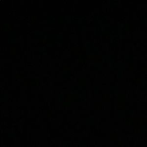 Meet your Posher, Bella